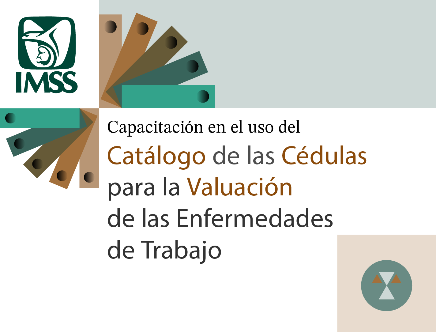 Capacitación en el uso del Catálogo de las Cédulas para la Valuación de las Enfermedades de Trabajo